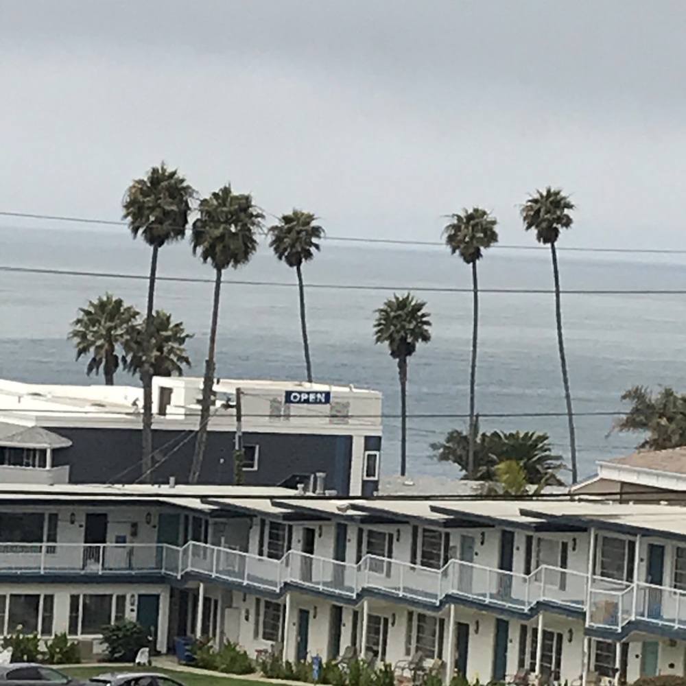 Meet your Posher, Stella